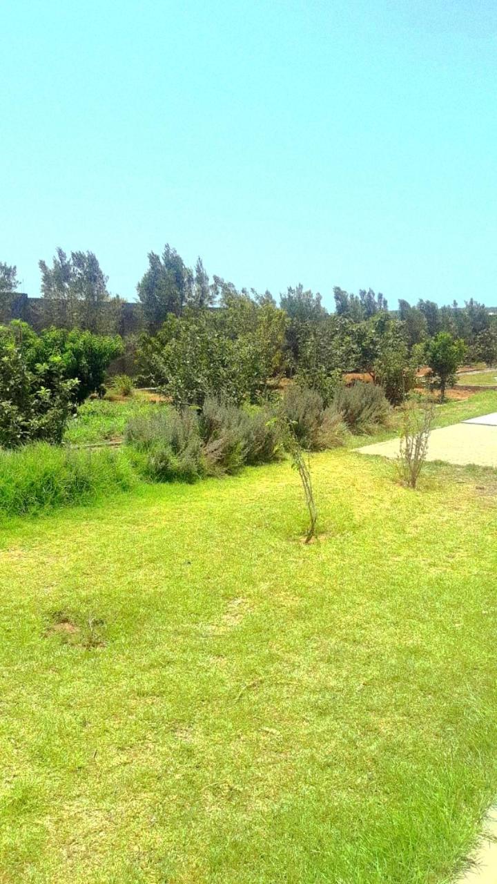 Ferme Prive Avec Piscine Villa Safi Bagian luar foto